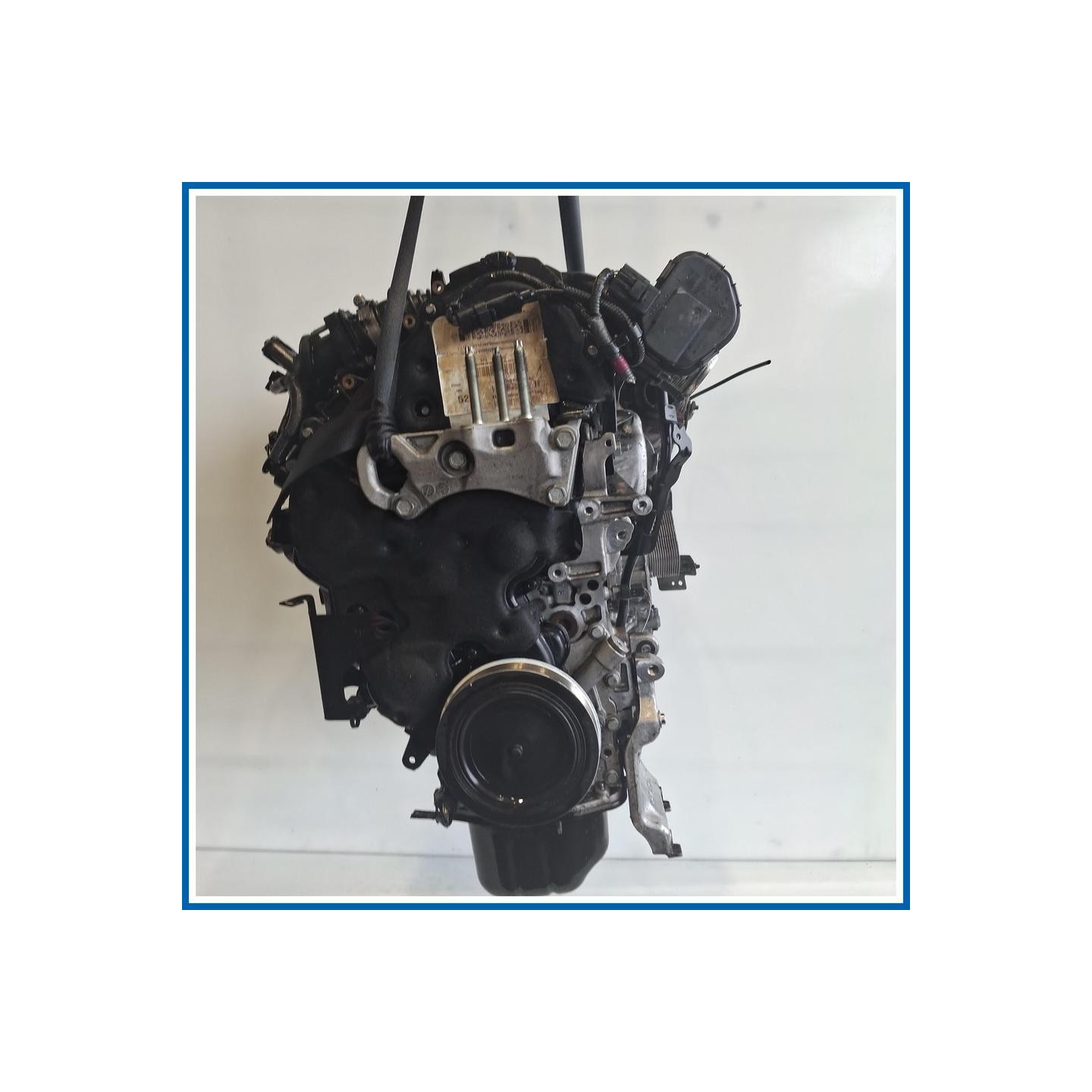 Motore semicompleto SERVICE ENGINE ASSY tzja e238.mot.ok
 
 FORD Fiesta VI