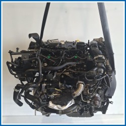 Motore semicompleto SERVICE ENGINE ASSY tzja e238.mot.ok
 
 FORD Fiesta VI