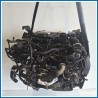 Motore semicompleto SERVICE ENGINE ASSY tzja e238.mot.ok
 
 FORD Fiesta VI