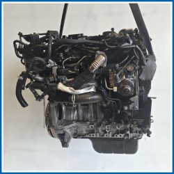 Motore semicompleto SERVICE ENGINE ASSY tzja e238.mot.ok
 
 FORD Fiesta VI