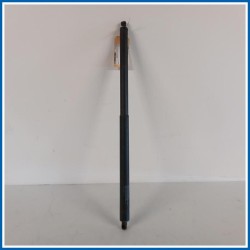 Ammortizzatore portello LIFT ASSY - GAS 
dx. 
post. FORD Kuga II