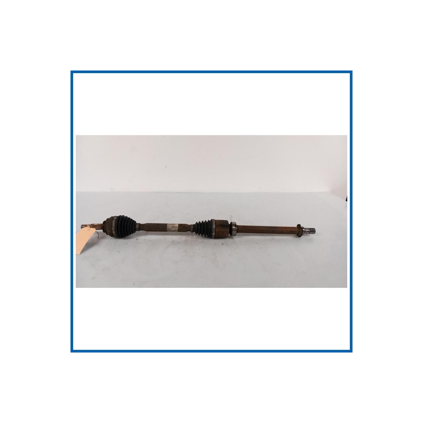 Semiasse KIT ALBERO ANT 
dx. 
ant. NISSAN Pulsar