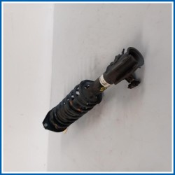 Ammortizzatore AMMORTIZZATORE ANT DX 
dx. 
ant. SUZUKI Ignis I