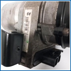 Pompa servosterzo ELETTROPOMPA 
 
 CITROEN DS5