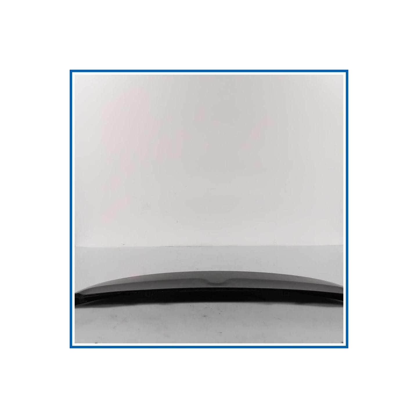 Luce stop supplementare FANALE STOP 
 
post. CITROEN C4 Picasso I
