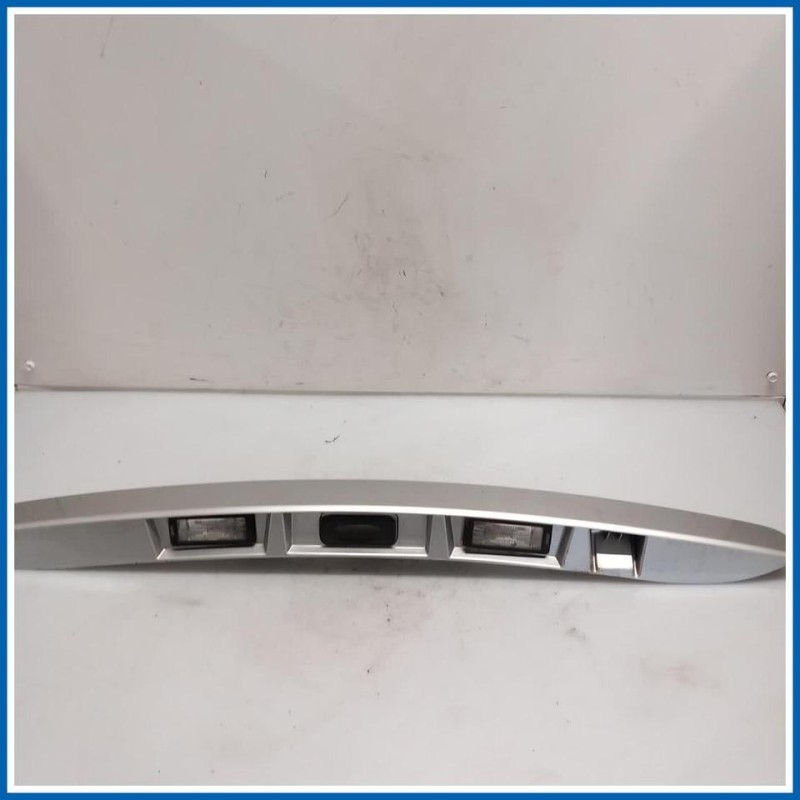 Maniglia portello est. BANDEAU PORTE COF 
 
post. RENAULT Scenic X-Mod