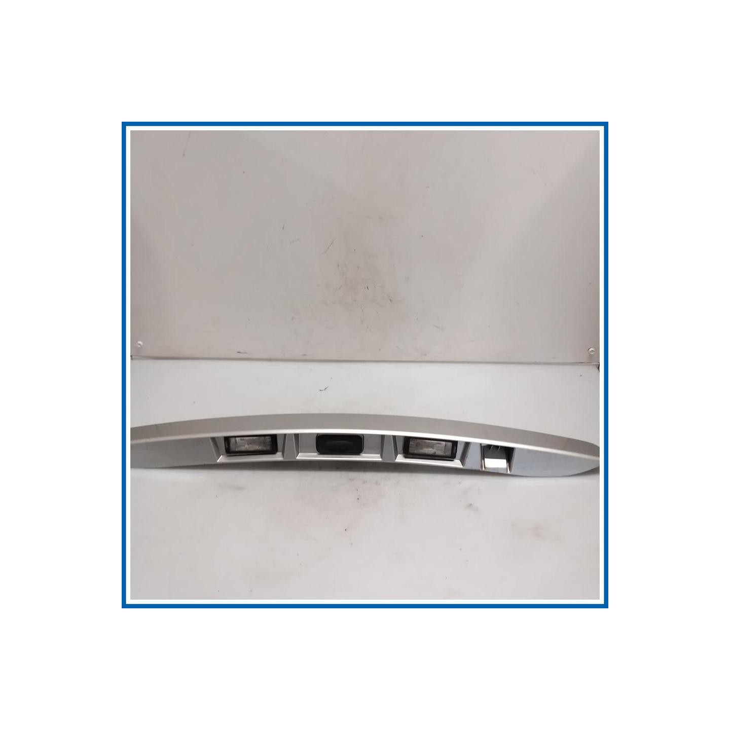 Maniglia portello est. BANDEAU PORTE COF 
 
post. RENAULT Scenic X-Mod