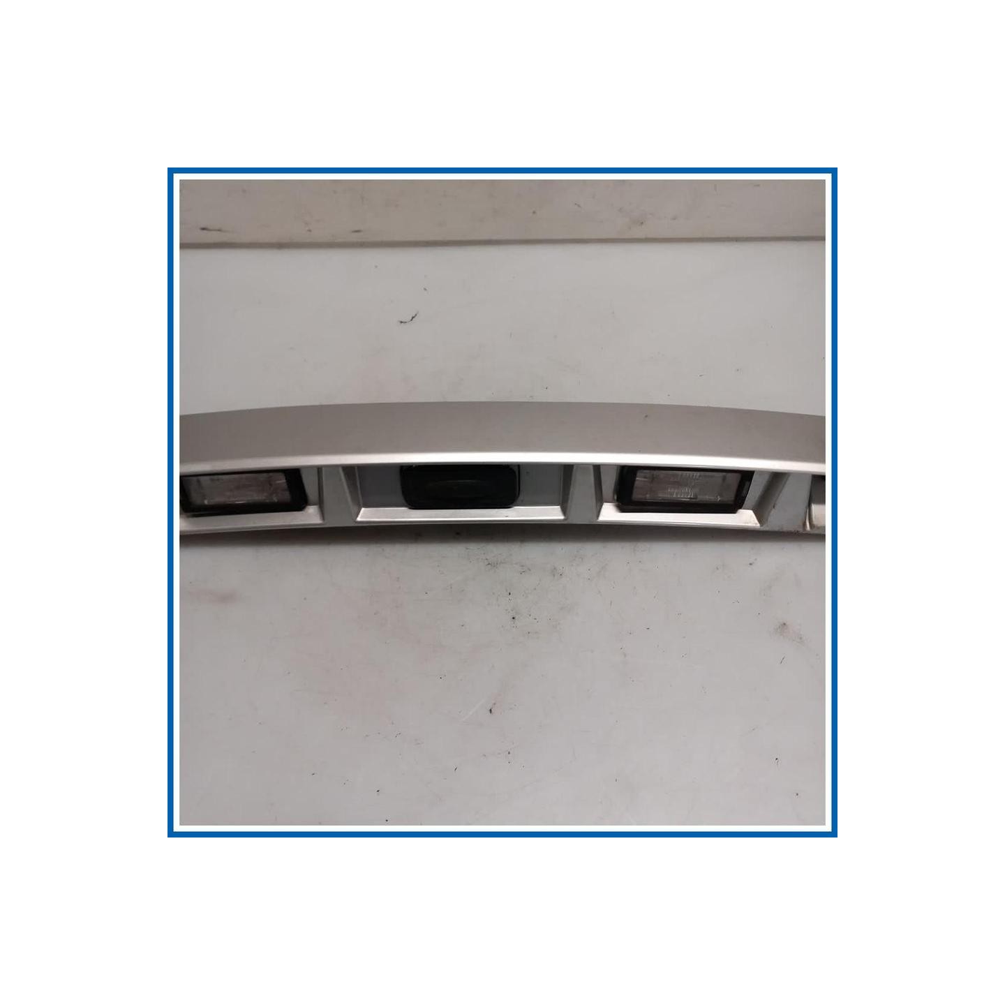 Maniglia portello est. BANDEAU PORTE COF 
 
post. RENAULT Scenic X-Mod