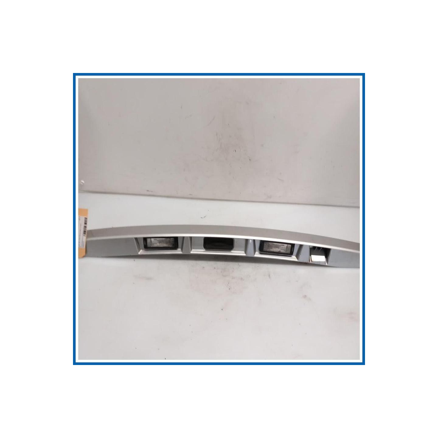 Maniglia portello est. BANDEAU PORTE COF 
 
post. RENAULT Scenic X-Mod