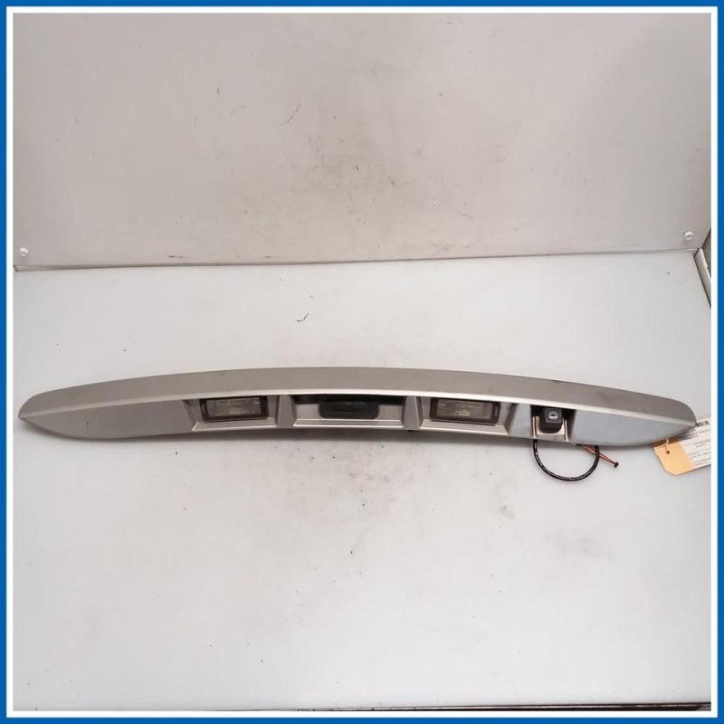 Maniglia portello est. BANDEAU PORTE COF 
 
post. RENAULT Scenic X-Mod