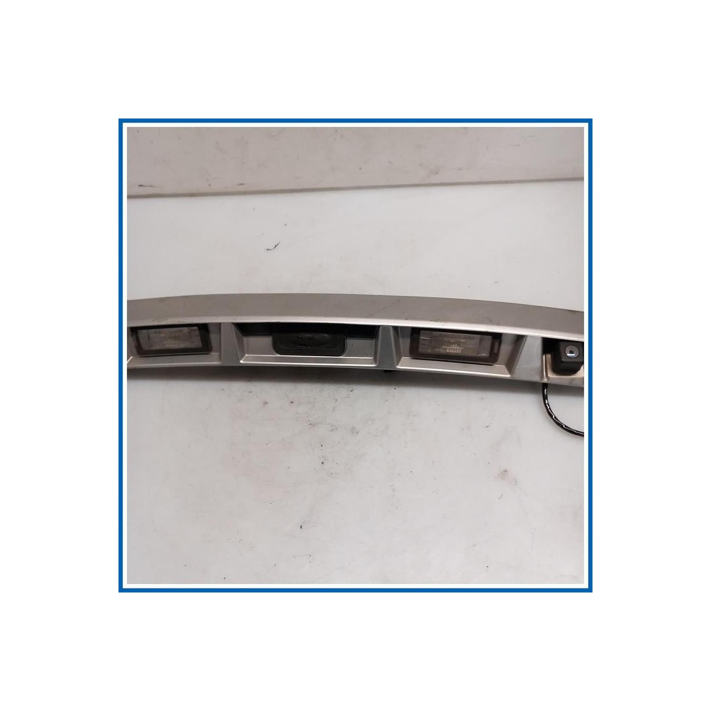 Maniglia portello est. BANDEAU PORTE COF 
 
post. RENAULT Scenic X-Mod