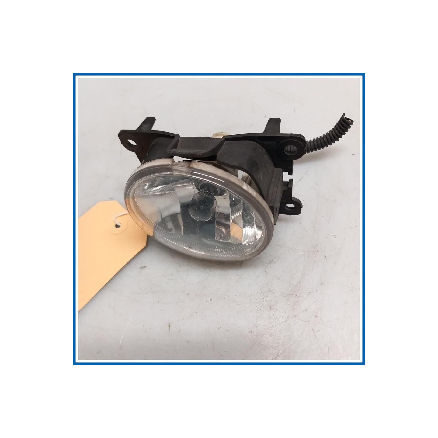 Fendinebbia PROIETTORE ANTI 
dx. 
ant. CITROEN C3 II