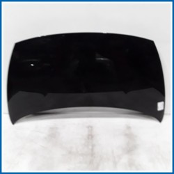 Cofano Panel assy-hood 
 
ant. KIA Rio III