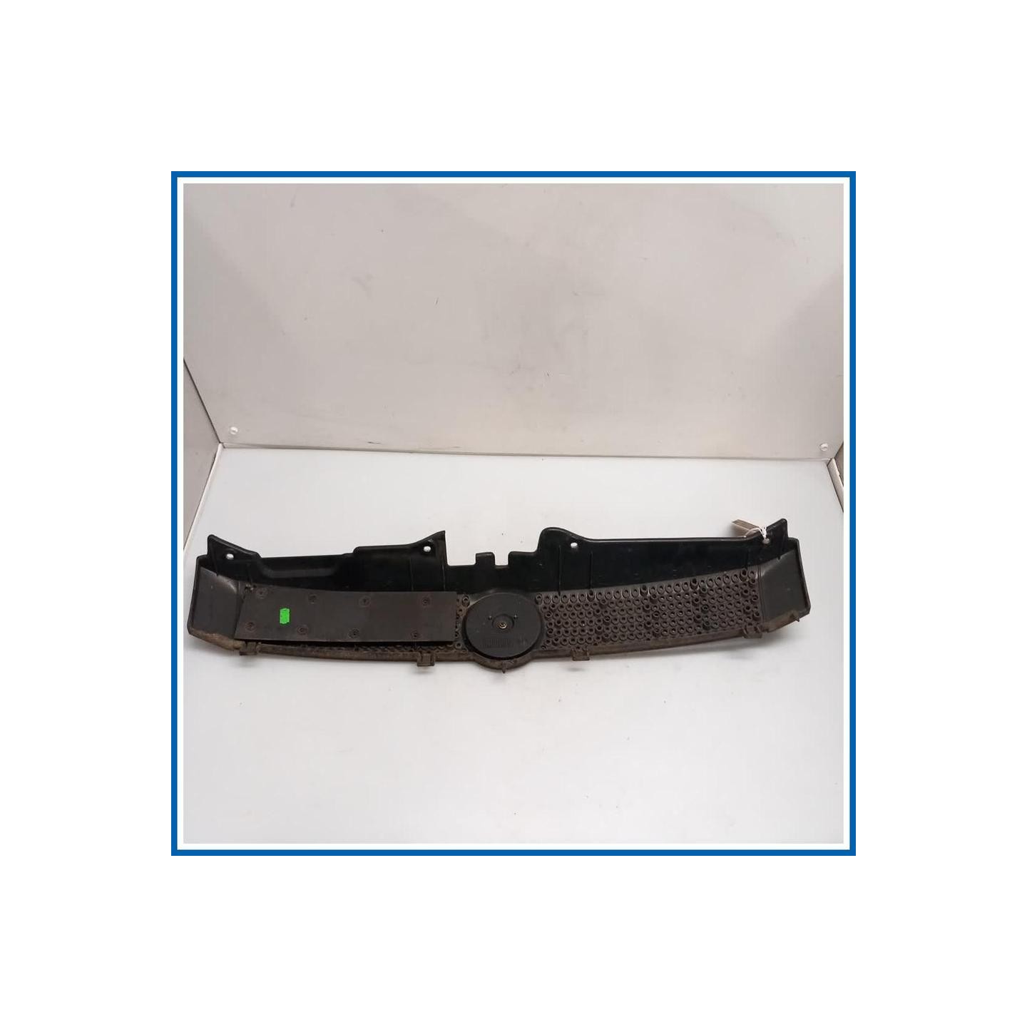 Griglia radiatore 
 
 FIAT Panda II
