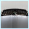 Cofano . 
 
ant. SKODA Octavia 1Z5 SW
