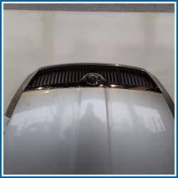 Cofano . 
 
ant. SKODA Octavia 1Z5 SW