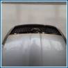 Cofano . 
 
ant. SKODA Octavia 1Z5 SW