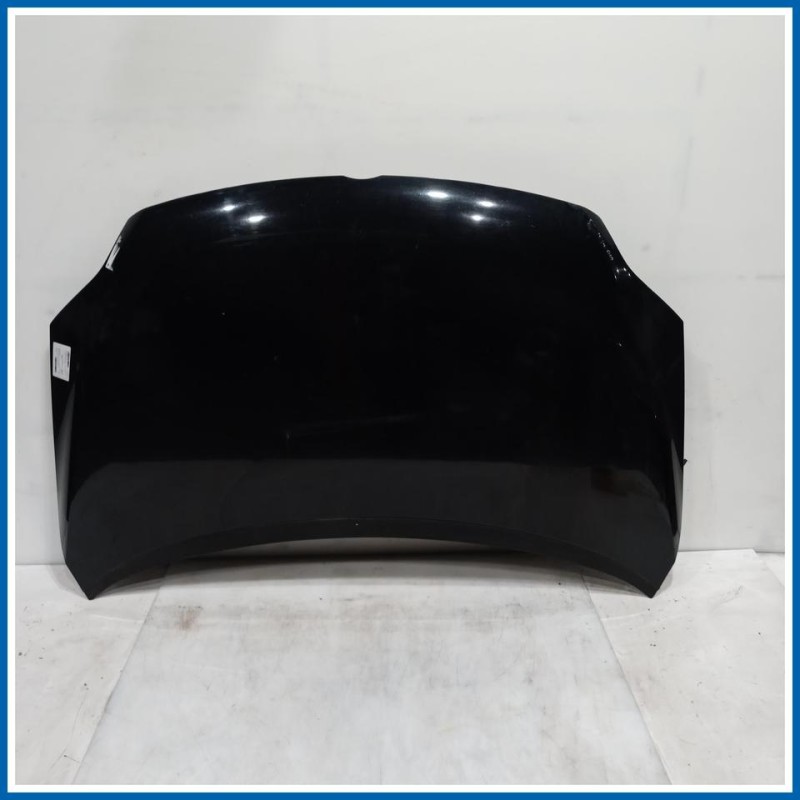 Cofano EX 031A COFANO ANT.GOLF V PLUS 
 
ant. VOLKSWAGEN Golf Plus I