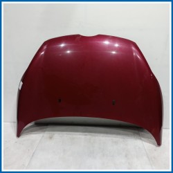 Cofano Hood Assy - Less Hinges 
 
ant. FORD Fiesta VI