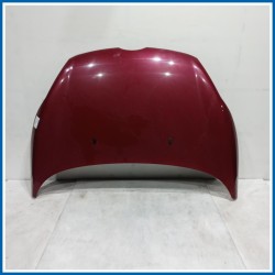 Cofano Hood Assy - Less Hinges 
 
ant. FORD Fiesta VI