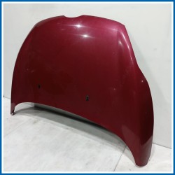 Cofano Hood Assy - Less Hinges 
 
ant. FORD Fiesta VI