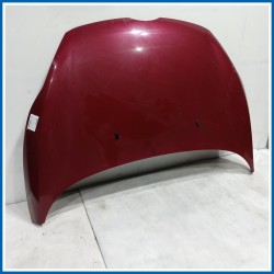 Cofano Hood Assy - Less Hinges 
 
ant. FORD Fiesta VI