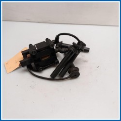 Bobina Bobina d'accens. 
 
 MINI Mini Cooper R50