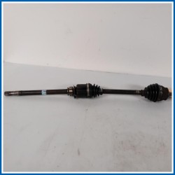 Semiasse SEMIALBERO 
dx. 
ant. FIAT Doblo Cargo