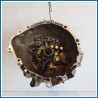 Cambio Cambio j211--K3 VE-- m200 cam ok
 
 DAIHATSU Terios II
