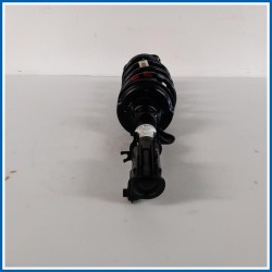 Ammortizzatore STRUT-FRT SUSP 
dx. 
ant. MG ZS II