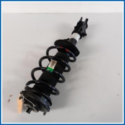 Ammortizzatore STRUT-FRT SUSP 
dx. 
ant. MG ZS II