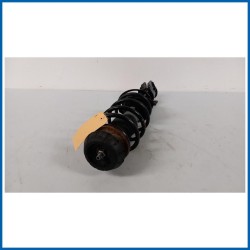 Ammortizzatore FORCELLONE | dx. | ant. SUZUKI Vitara II