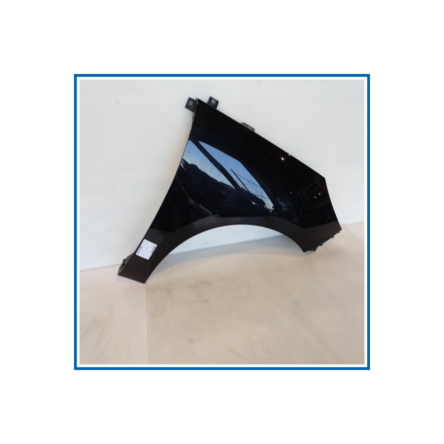 Parafango AILE AV D PRE ASS | dx. | ant. RENAULT Grand Scenic