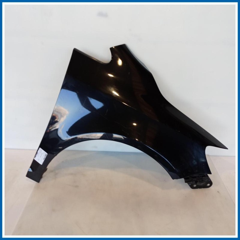 Parafango PARAFANGO ANT DX GOLF PLUS | dx. | ant. VOLKSWAGEN Golf Plus I