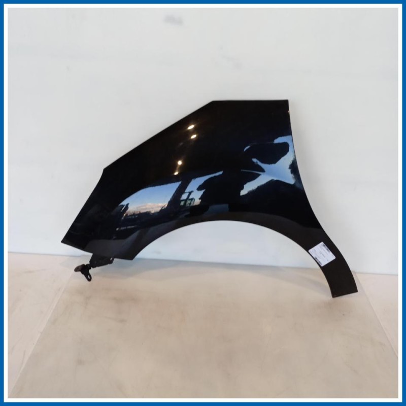 Parafango PARAFANGO ANT | sx. | ant. CITROEN C3 II