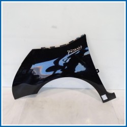 Parafango PARAFANGO ANT | sx. | ant. CITROEN C4 Picasso I