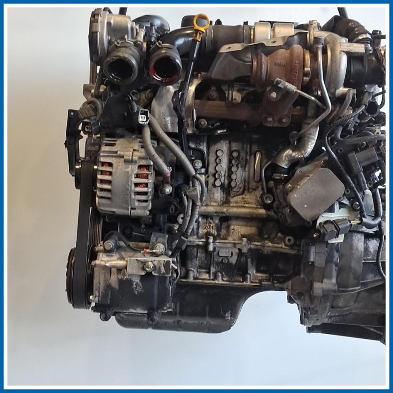 Motore semicompleto SERVICE ENGINE ASSY |  | M260.MOT.OK TZJA FORD Fiesta VI