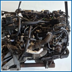 Motore semicompleto SERVICE ENGINE ASSY |  | M260.MOT.OK TZJA FORD Fiesta VI