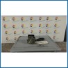 BLOCCO COMANDI TERGICRISTALLI KIA PICANTO 1A SERIE (02/04>10/08