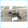 MONTANTE SOSP. ANT. DX. FIAT DOBLO' CARGO (3V) (12/09>)