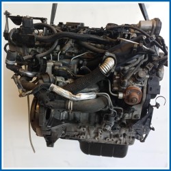 Motore semicompleto SERVICE ENGINE ASSY |  |  FORD Fiesta VI