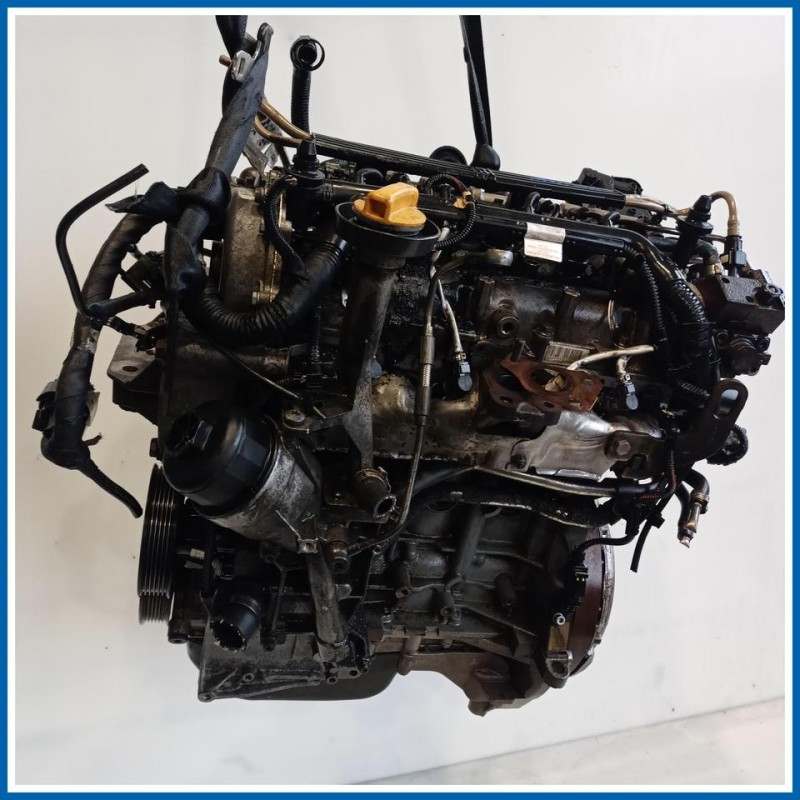 Motore semicompleto |  |  FIAT Punto Evo