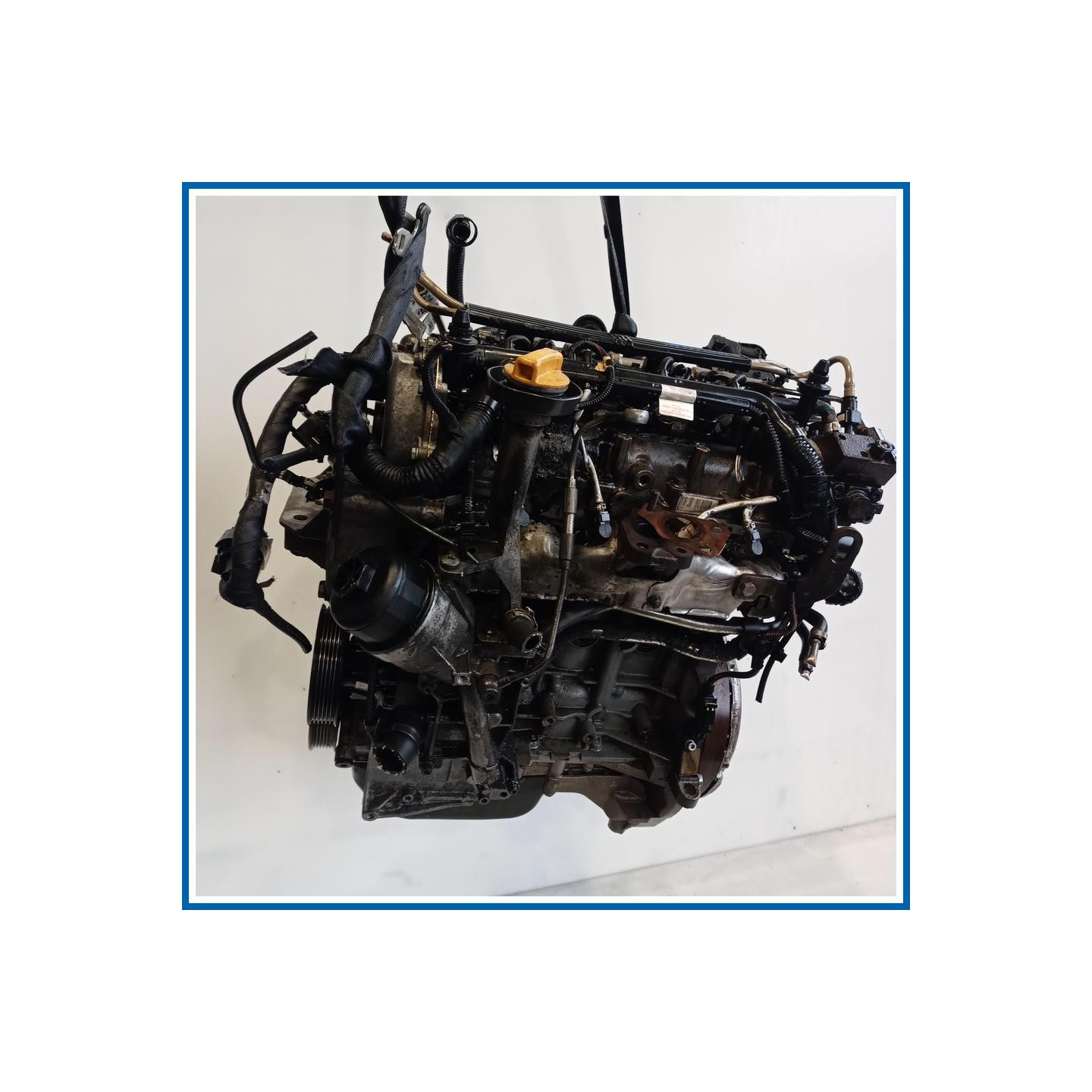 Motore semicompleto |  |  FIAT Punto Evo