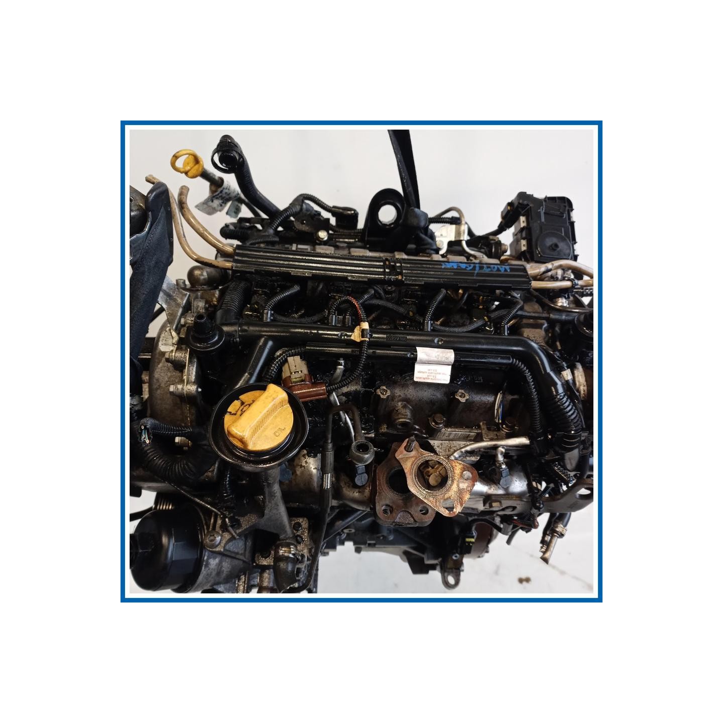 Motore semicompleto |  |  FIAT Punto Evo