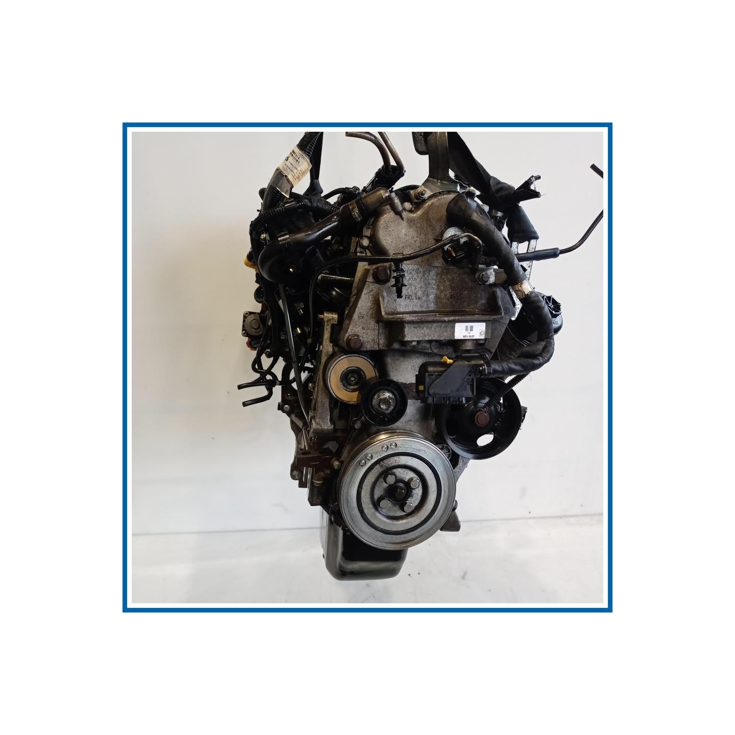 Motore semicompleto |  |  FIAT Punto Evo