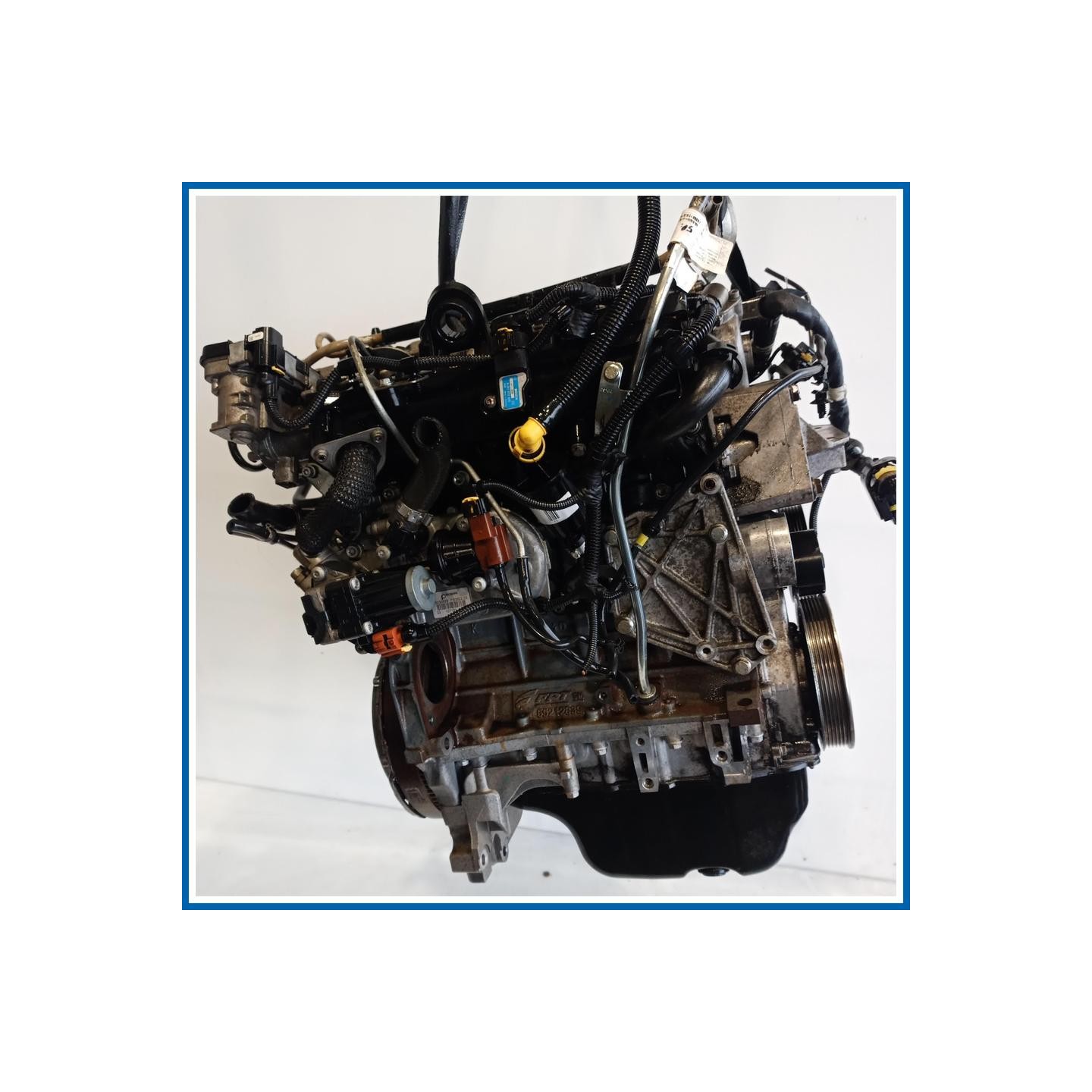 Motore semicompleto |  |  FIAT Punto Evo