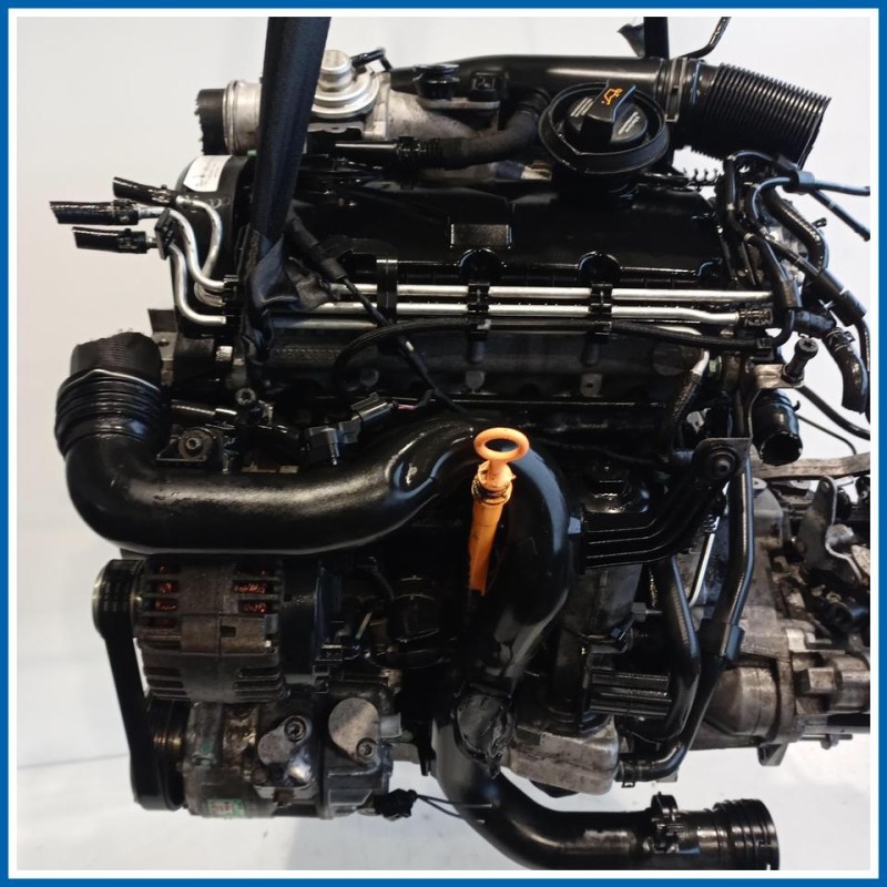 Motore |  |  VOLKSWAGEN Golf Plus I