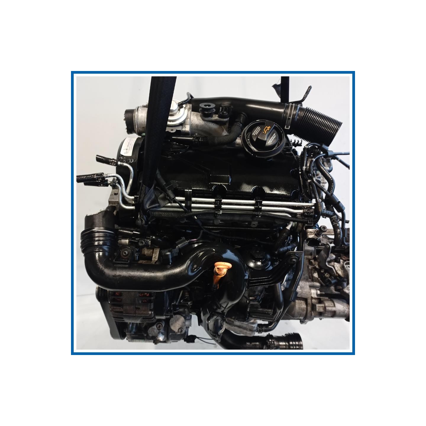 Motore |  |  VOLKSWAGEN Golf Plus I