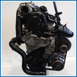 Motore |  |  VOLKSWAGEN Golf Plus I