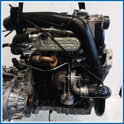 Motore |  |  VOLKSWAGEN Golf Plus I